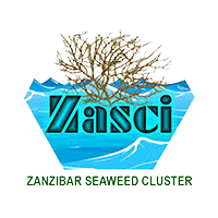 Zanzibar Seaweed Cluster