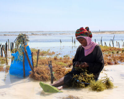 future path-way future path-way